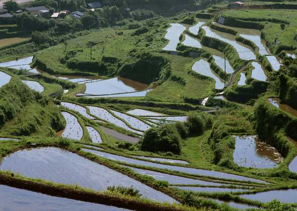 田园风景图片(点击浏览下一张趣图)