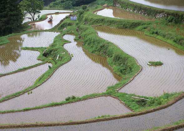 田园风景图片(点击浏览下一张趣图)