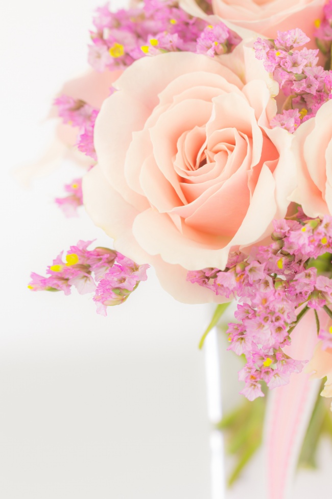 淡雅粉色玫瑰花图片(点击浏览下一张趣图)