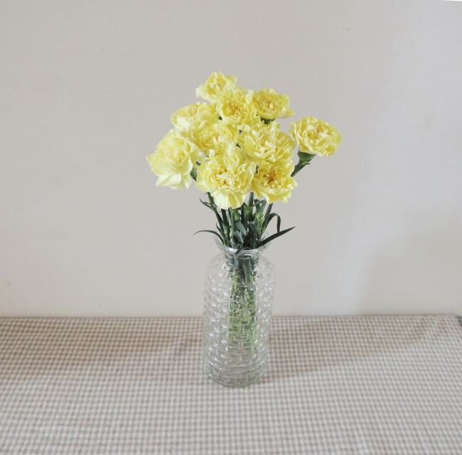 黄色康乃馨插花图片(点击浏览下一张趣图)