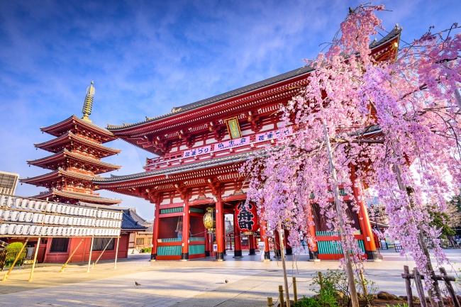 日本唯美樱花风景图片(点击浏览下一张趣图)