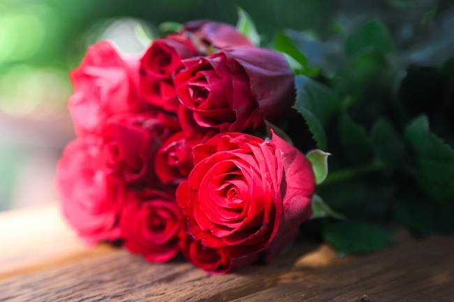 美丽的玫瑰花图片(点击浏览下一张趣图)
