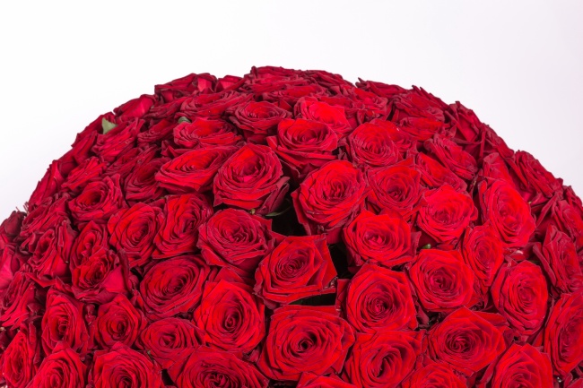 红色玫瑰花球图片(点击浏览下一张趣图)