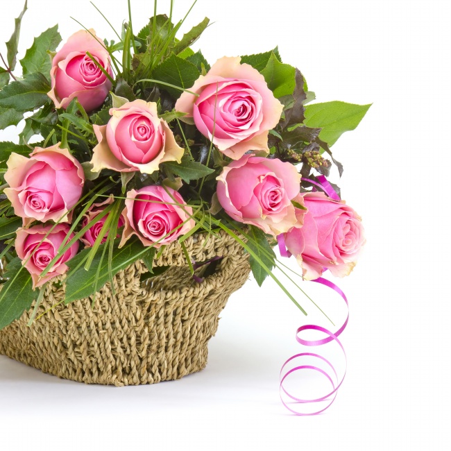 一篮子粉色玫瑰花图片(点击浏览下一张趣图)