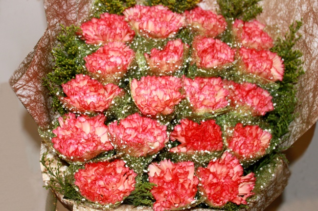 妇女节康乃馨花束图片(点击浏览下一张趣图)