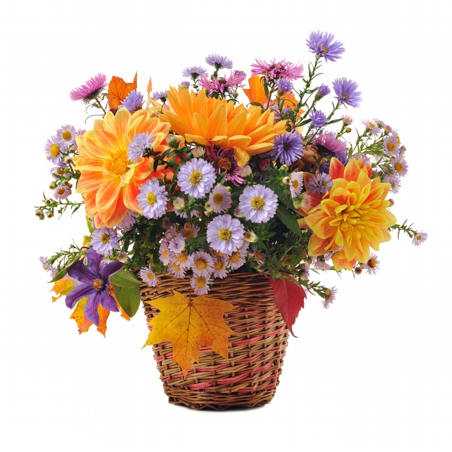 篮子里的鲜艳花朵图片(点击浏览下一张趣图)