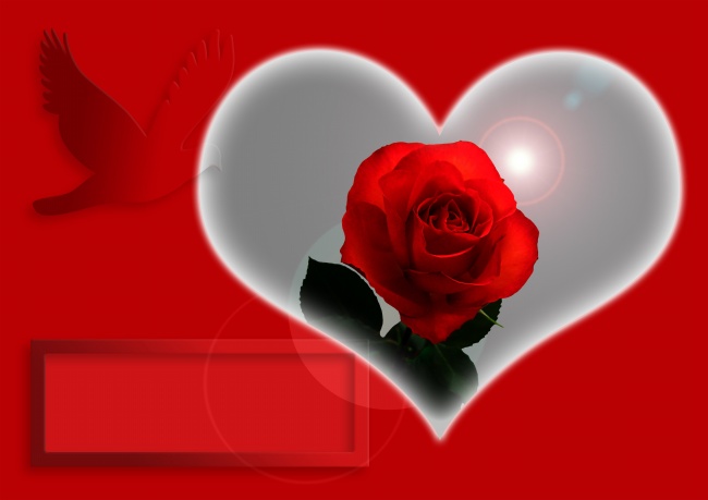 情人节玫瑰图片(点击浏览下一张趣图)