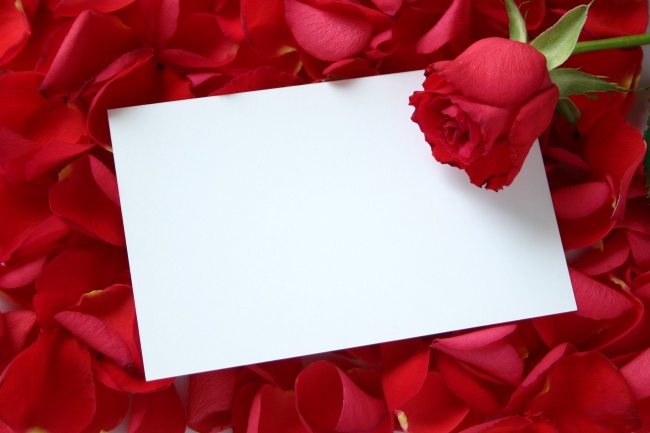 情人节卡片和玫瑰花图片(点击浏览下一张趣图)