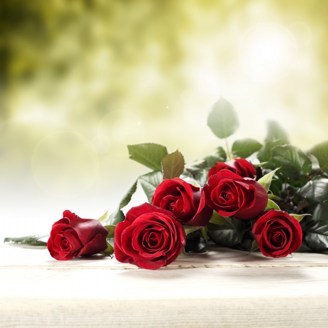 情人节红玫瑰图片(点击浏览下一张趣图)
