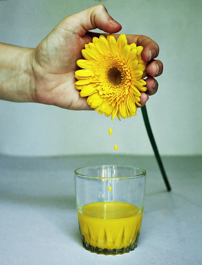 黄色花朵花汁图片(点击浏览下一张趣图)