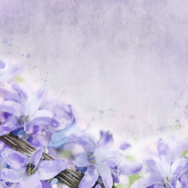 唯美紫色百合花图片(点击浏览下一张趣图)