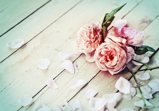 木板上的玫瑰花图片(点击浏览下一张趣图)
