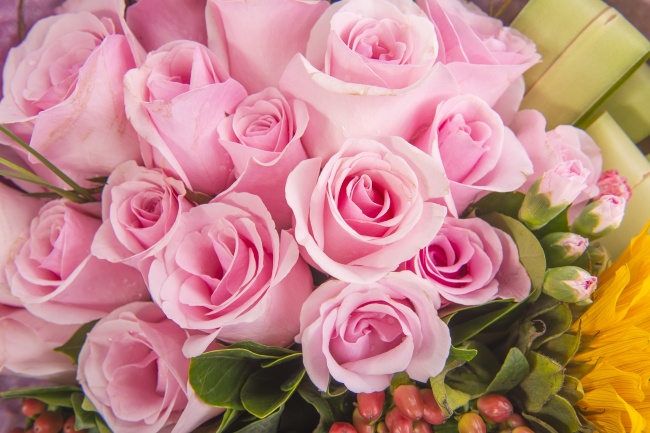 粉色香槟玫瑰花束图片(点击浏览下一张趣图)