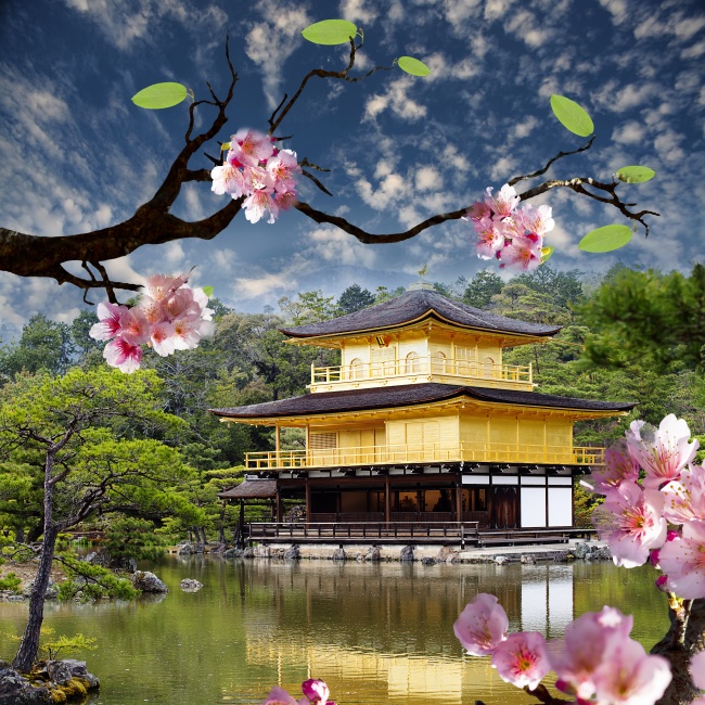 日本樱花建筑风景图片(点击浏览下一张趣图)