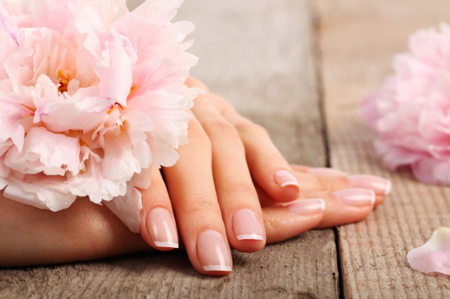手中的粉色康乃馨图片(点击浏览下一张趣图)