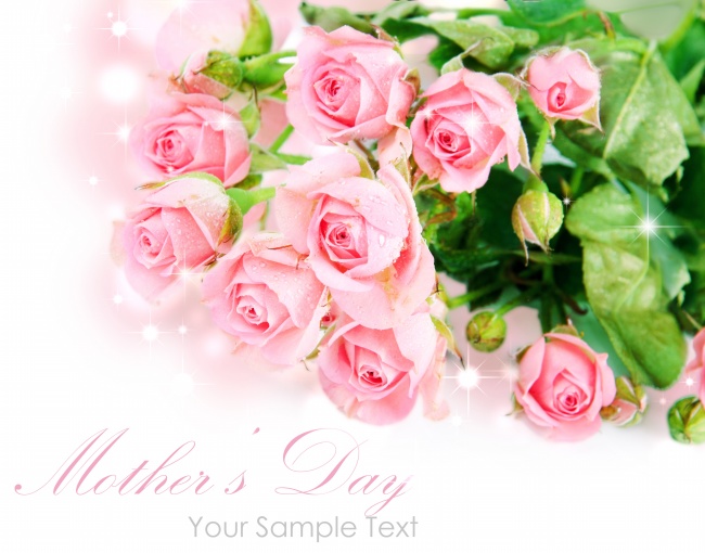 母亲节玫瑰花图片(点击浏览下一张趣图)