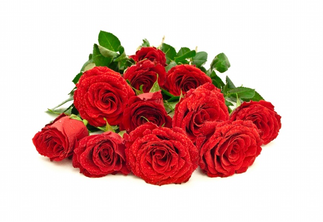 情人节玫瑰花束图片(点击浏览下一张趣图)