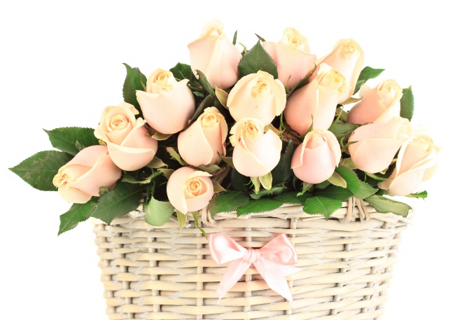 竹篮里的粉色玫瑰花图片(点击浏览下一张趣图)