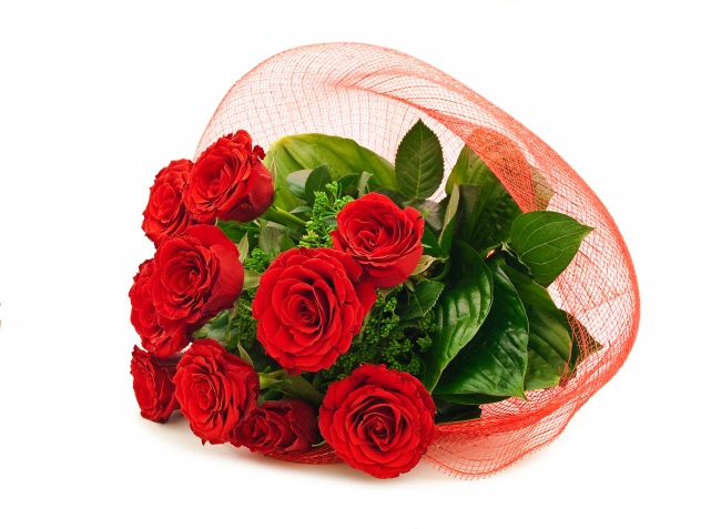 情人节红色玫瑰花图片(点击浏览下一张趣图)