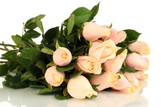 粉色玫瑰花束图片(点击浏览下一张趣图)