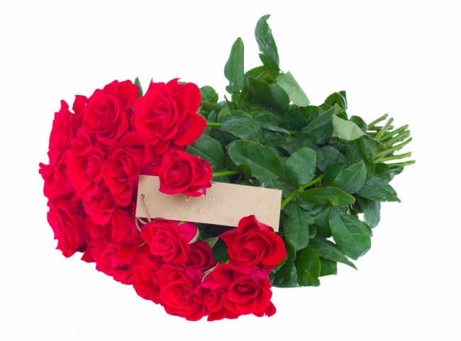 红色玫瑰花束图片(点击浏览下一张趣图)