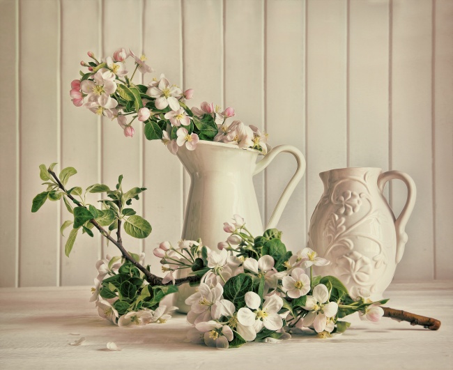 陶瓷花瓶与花枝图片(点击浏览下一张趣图)