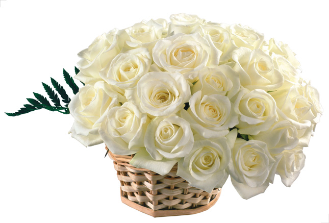 白色玫瑰花篮图片(点击浏览下一张趣图)