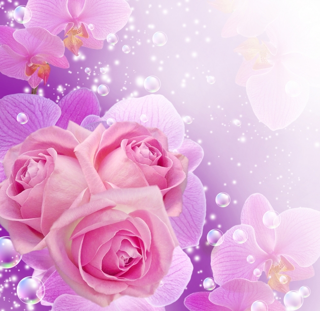 粉色花朵图片(点击浏览下一张趣图)