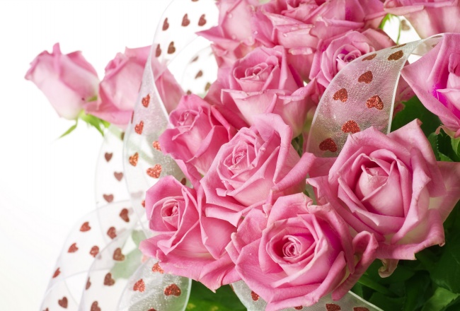 粉色玫瑰花高清大图图片(点击浏览下一张趣图)