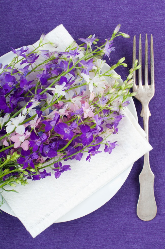 盘子上紫色花朵图片(点击浏览下一张趣图)