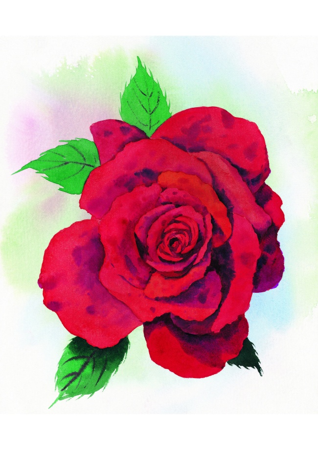 彩绘玫瑰花图片(点击浏览下一张趣图)