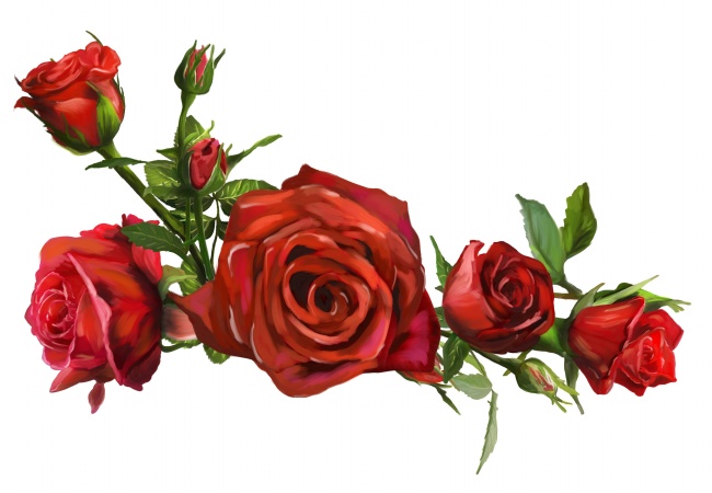 高清大图玫瑰花图片素材(点击浏览下一张趣图)