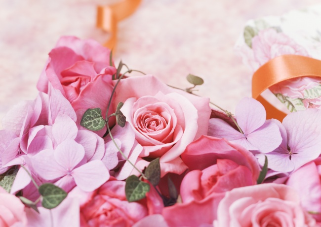 粉色唯美玫瑰花图片(点击浏览下一张趣图)
