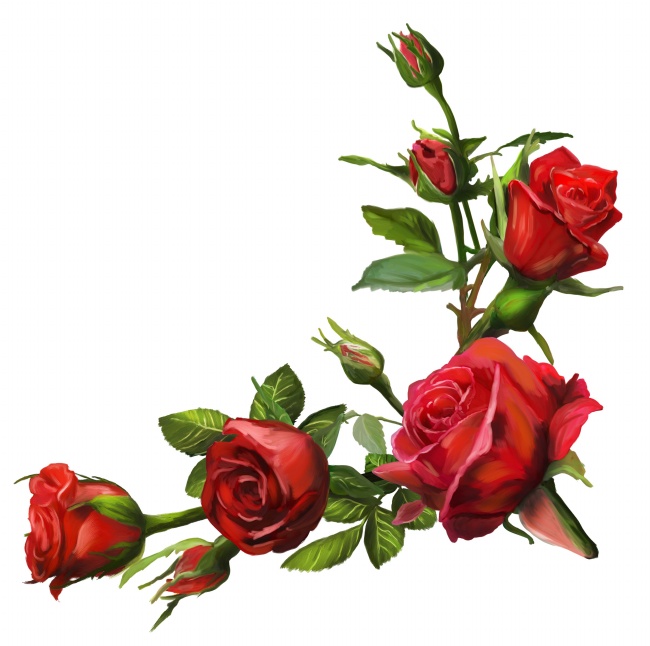 彩绘玫瑰花图片(点击浏览下一张趣图)