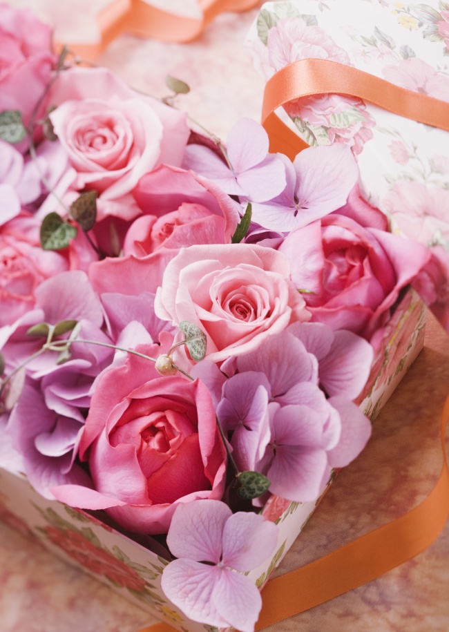 美丽玫瑰花图片(点击浏览下一张趣图)