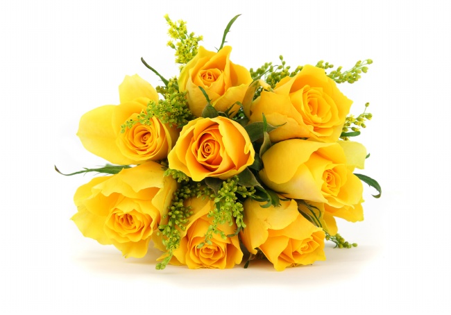 黄玫瑰花高清大图图片(点击浏览下一张趣图)