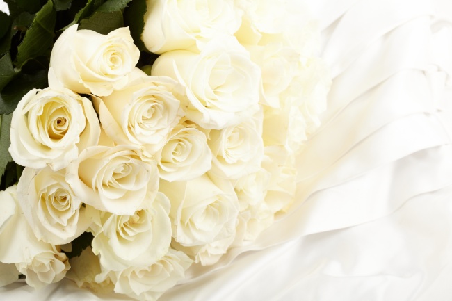 白色玫瑰花图片素材(点击浏览下一张趣图)