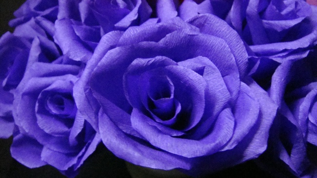 紫色玫瑰花图片(点击浏览下一张趣图)