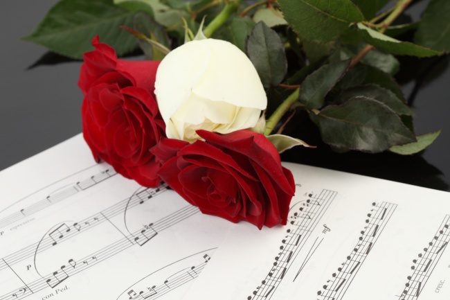 玫瑰花乐谱图片(点击浏览下一张趣图)