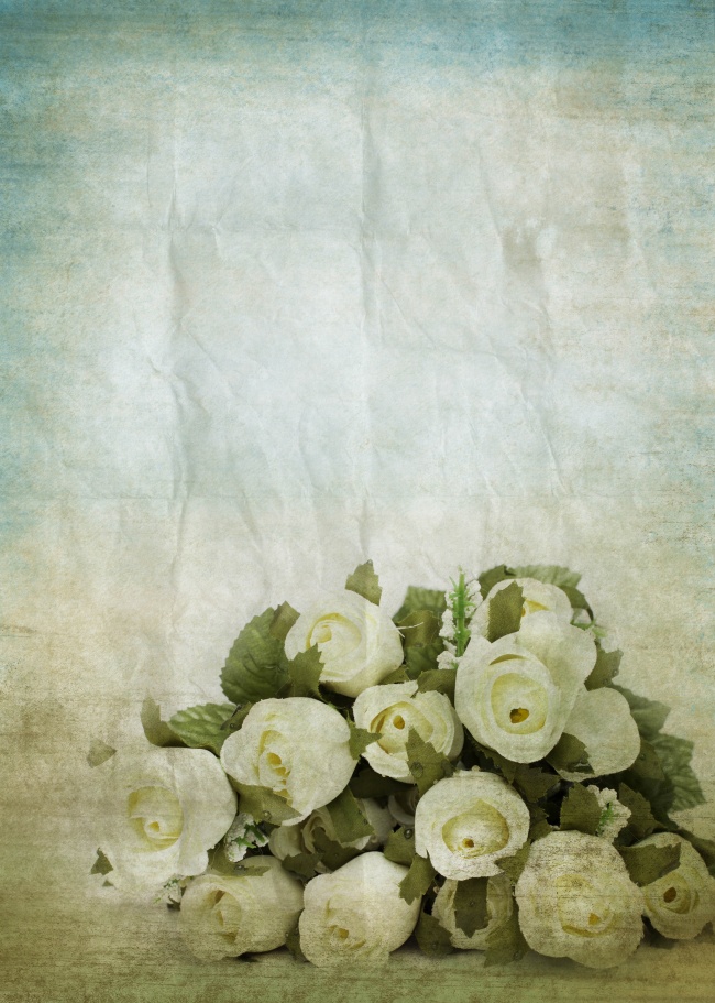 鲜花白玫瑰图片(点击浏览下一张趣图)