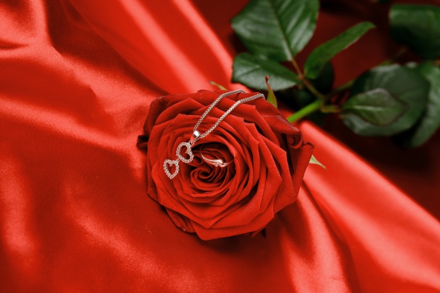 情人节玫瑰花图片(点击浏览下一张趣图)