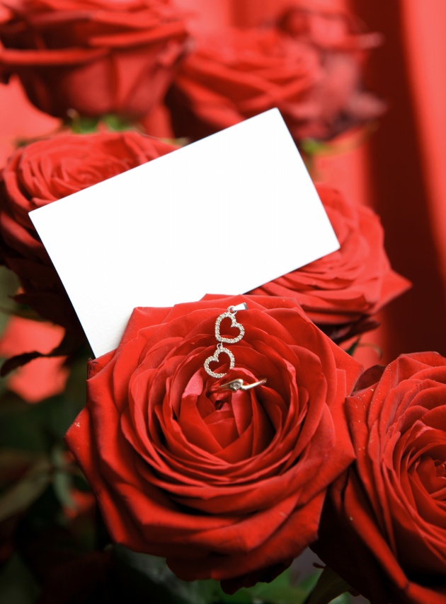 浪漫玫瑰花图片(点击浏览下一张趣图)
