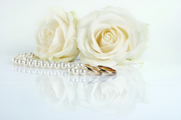 高清大图白玫瑰花图片(点击浏览下一张趣图)