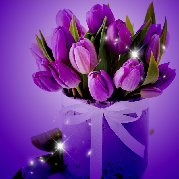 高清大图紫色郁金香图片(点击浏览下一张趣图)