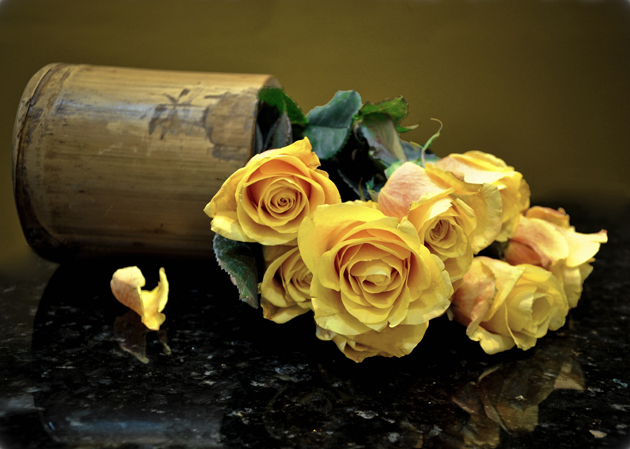 高清大图黄色玫瑰花图片(点击浏览下一张趣图)