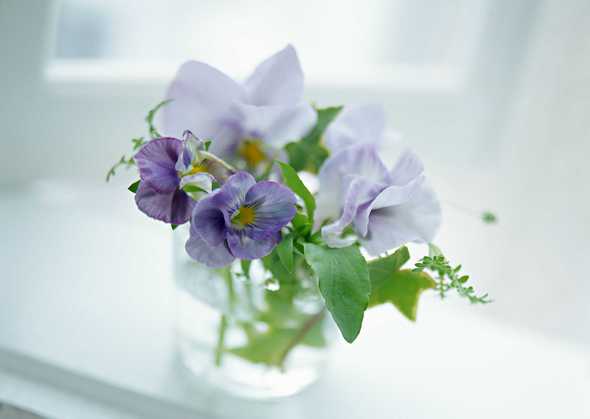 紫色花束插花(点击浏览下一张趣图)