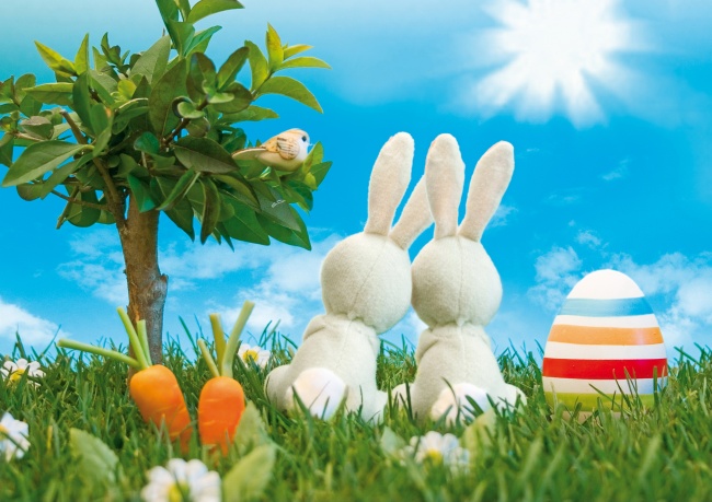 复活节草地彩蛋兔子图片(点击浏览下一张趣图)