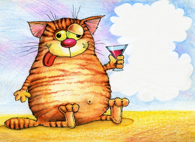 喝酒的可爱小猫图片(点击浏览下一张趣图)