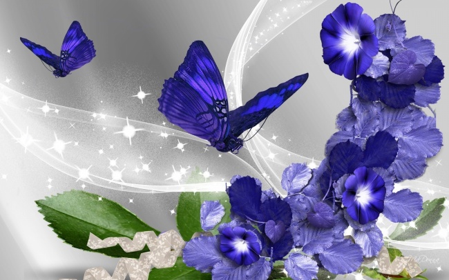 紫色鲜花蝴蝶图片(点击浏览下一张趣图)