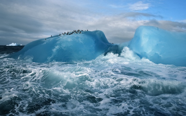 南极冰川上的企鹅图片(点击浏览下一张趣图)